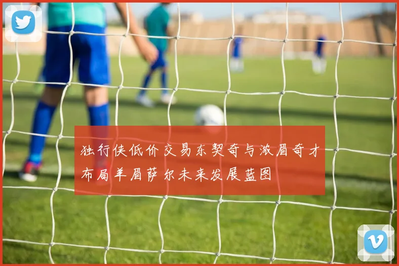 独行侠低价交易东契奇与浓眉奇才布局羊眉萨尔未来发展蓝图